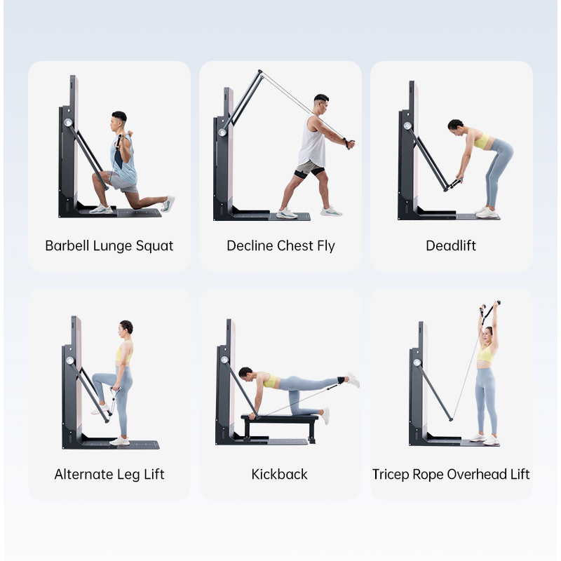 Interactive Digital Strength Fitness Equipment